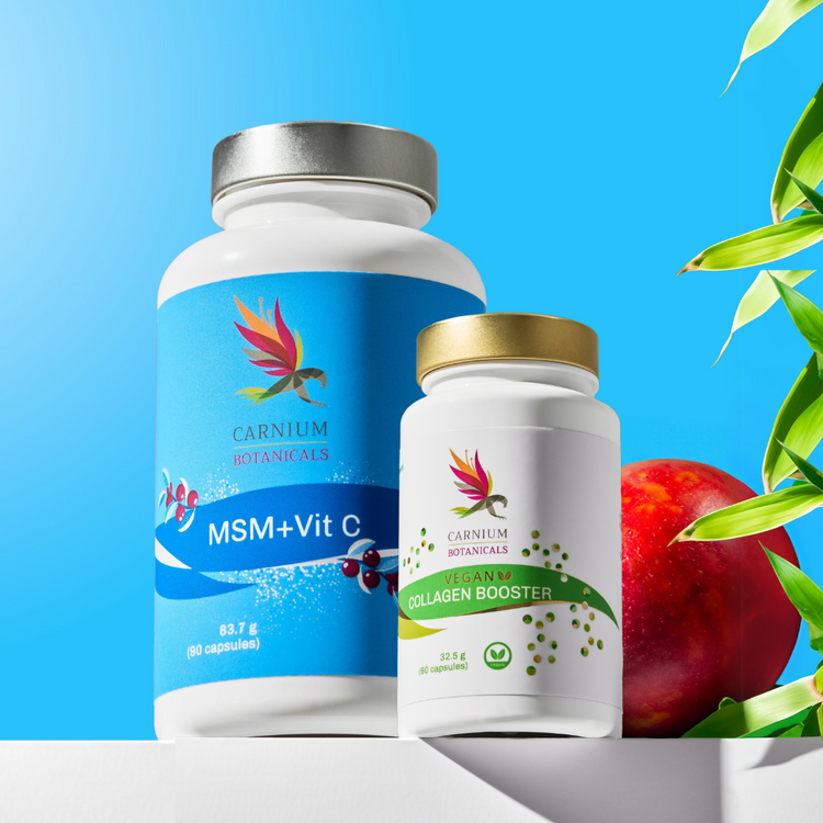 Pacchetto vitalità e bellezza: MSM + Collagen Booster -10%