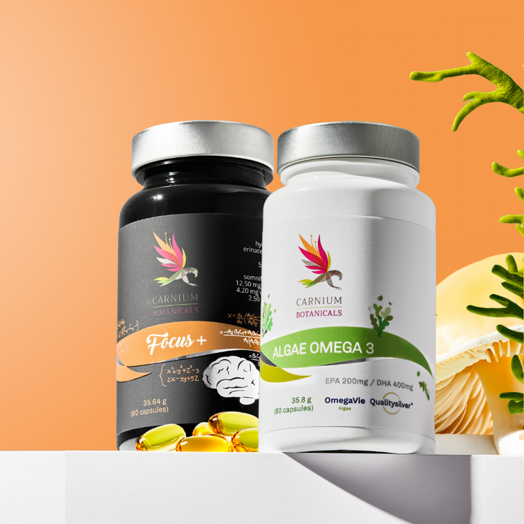 Pacchetto salute del cervello: Focus+ e Algae Omega 3